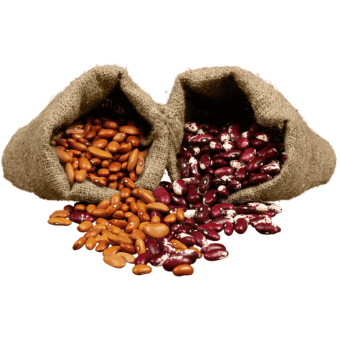 Seeds
