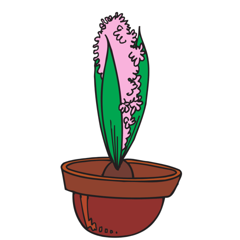 Bulbs