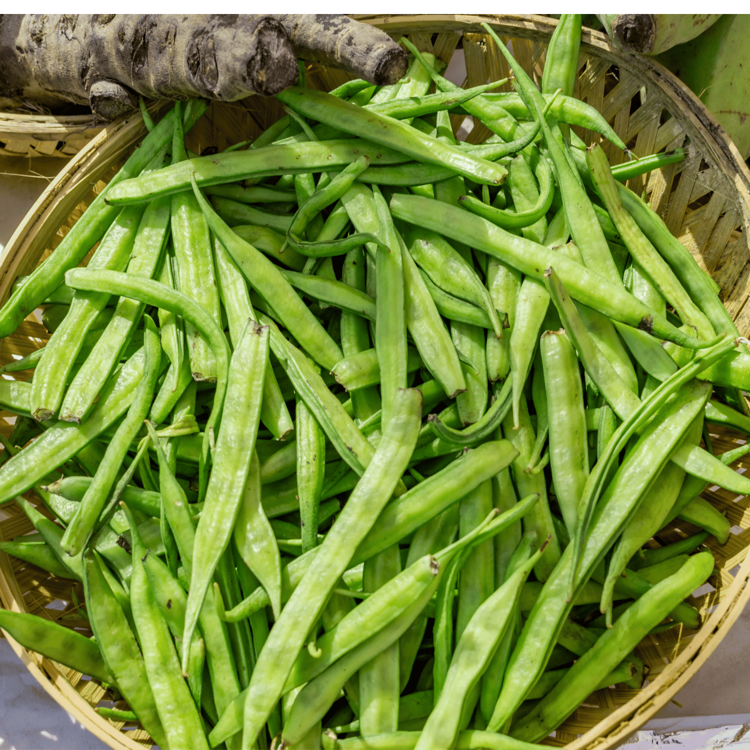 Organic (F3 Hybrid) Cluster Beans/Gawar Phalli Seeds(Pack Of - 50 Seeds)