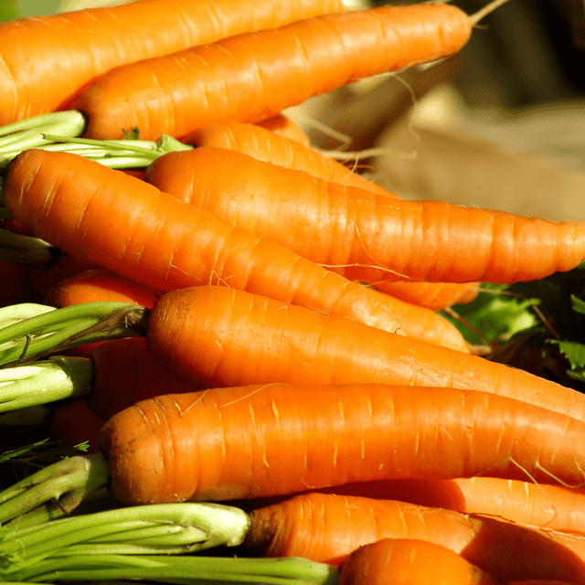 Organic (F3 Hybrid) Carrot/Gajar Seeds(Pack Of - 50 Seeds)