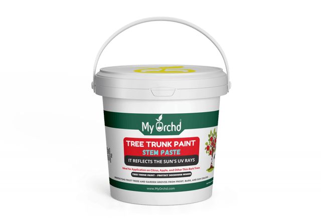 Tree Trunk Paint – Protects Trees From Sunburn, Insects & Cracks