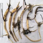 ... ...