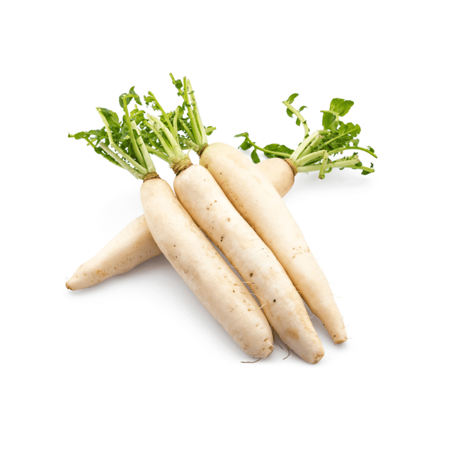 Organic (Desi) Radish /Muli  Seeds(Pack Of - 50 Seeds)