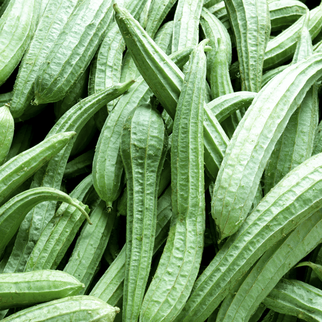 Organic (Desi) Torai / Ridge Gourd Seeds(Pack Of - 20 Seeds)