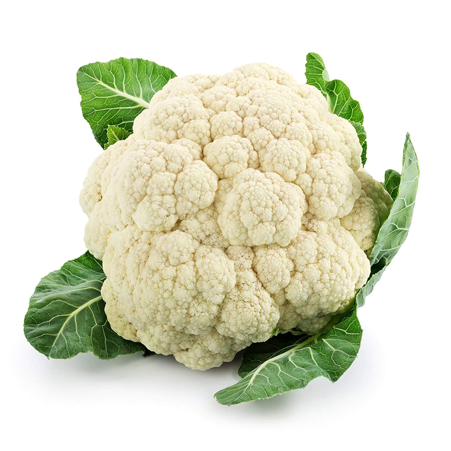 CAULIFLOWER  RAINY SEASON EARLY VARIETY KATIKA  (40 SEEDS) , MONSOON VARIETY