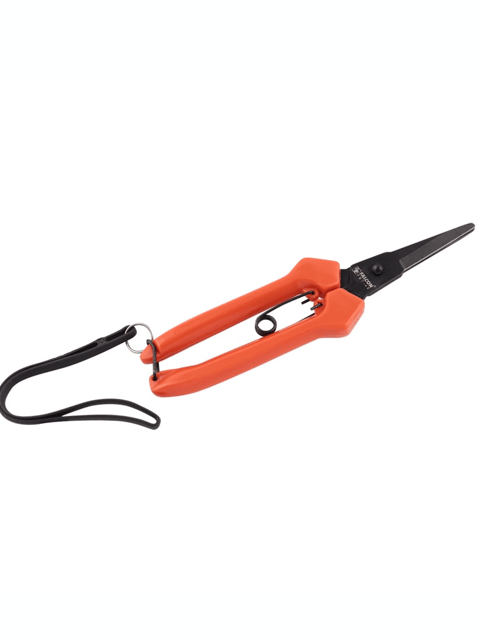 Falcon Ruchi Rose Cutter â Perfect for Pruning Roses & Plants