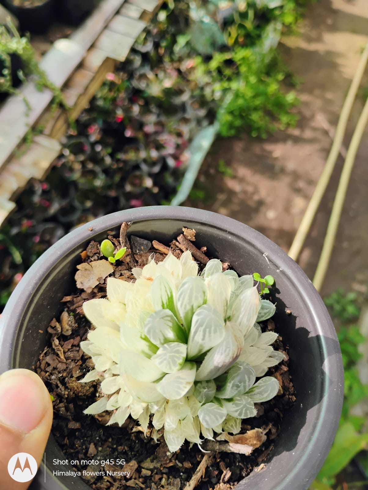 ...
