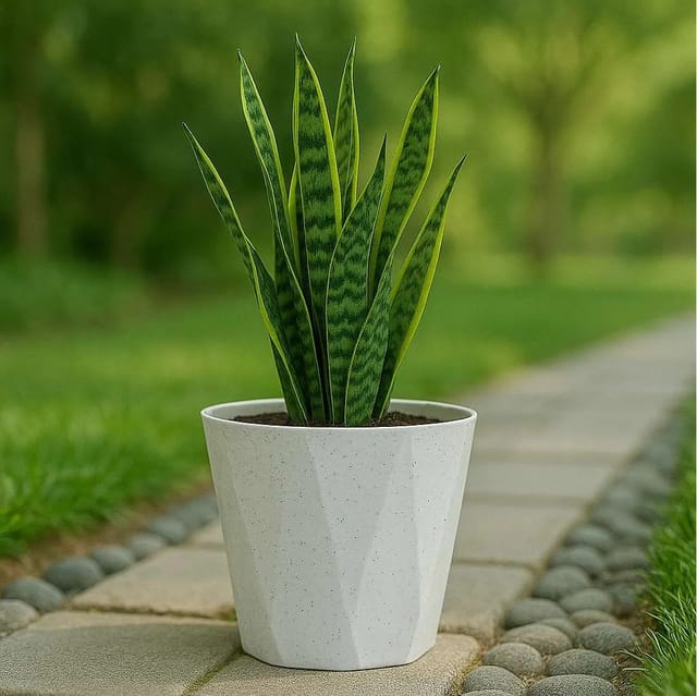 Dyna Pots 4  Inch | Marble White Color | Indoor Planter for Home Decor | Set of 4
