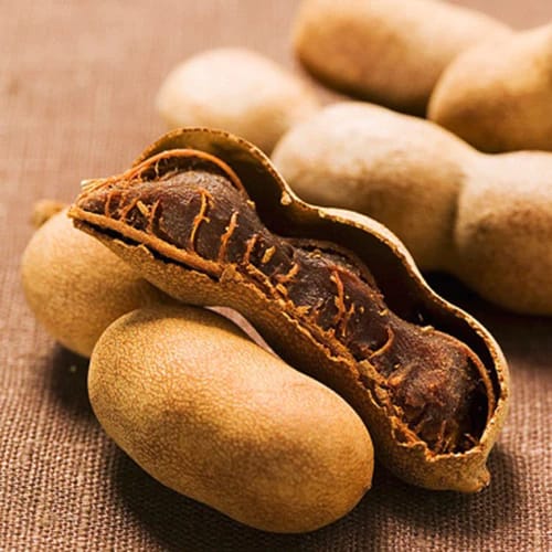 Sweet Tamarind / Imli Fruit Plants & Tree (Grafted)