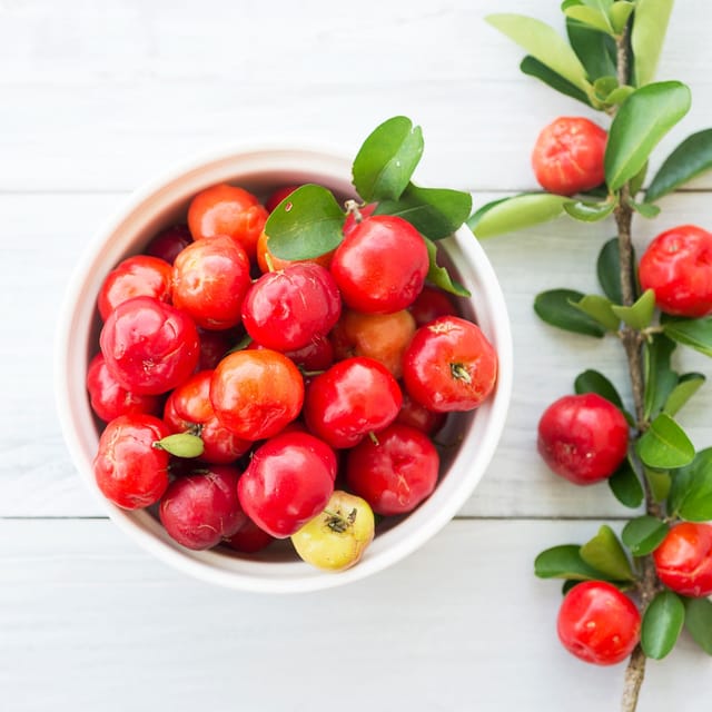 Barbados Cherry Grafted Plant For Outdoor Gardening