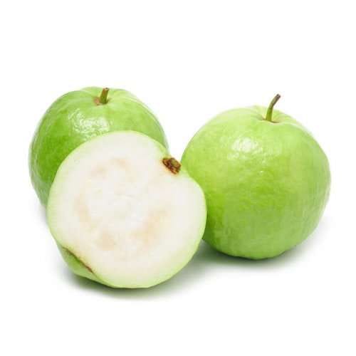 Seedless Guava (Amrud) Plant For Outdoor Gardening
