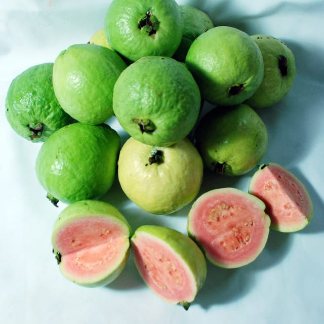 Taiwan Pink Guava (Grafted) Plant For Outdoor Gardening