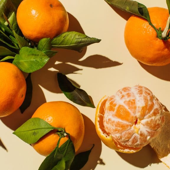Citrus Sunrise Elite Orange Grafted Healthy Fruit Plant