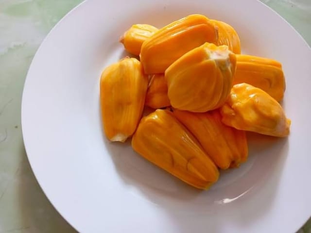 Rare  Vietnam Super Early Sweet Jackfruit Plant (Height 1.5-2 Feet) Jackfruit Orignal Hybrid High-Yield Variety Fruit Plant | Fast-Fruiting|Fast-Growing | Pack Of-1 For Outdoor  Tree