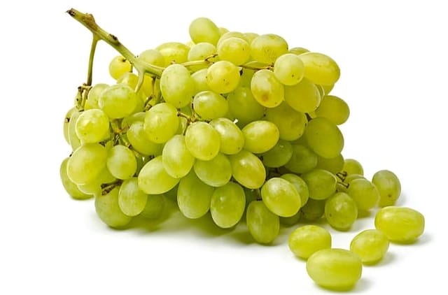 Rare  Seedlees Sweet Grapes Fruit Plant (Heaight 1-1.5 Feet) Green To Yellowish-Green In Color Grapes Orignal Hybrid Variety Fruit Plant | Juicy Fruit | Pack Of -1 Outdoor  Tree