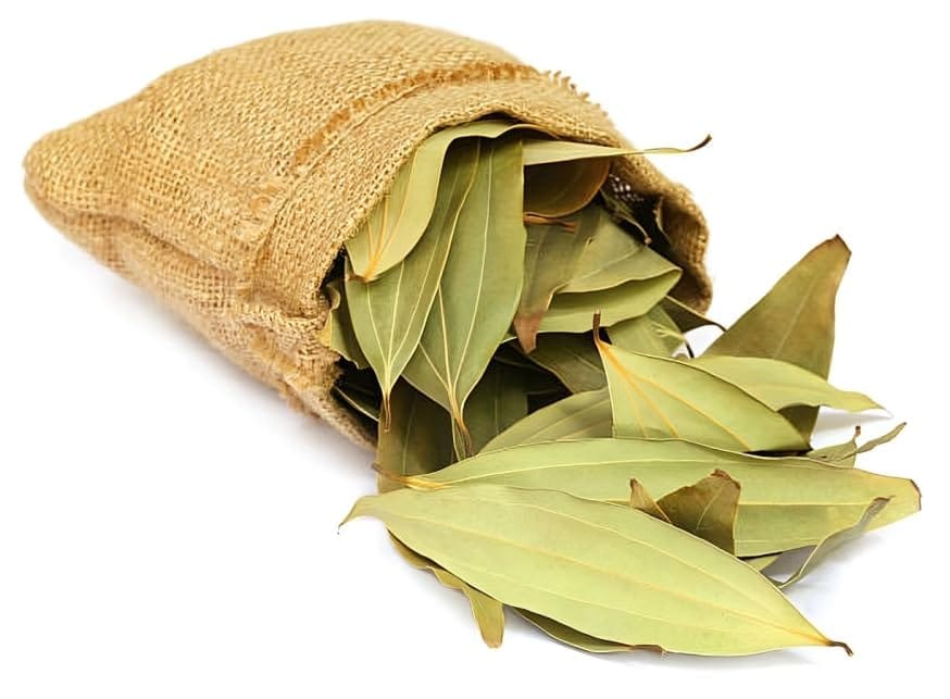 Rere Good Aroma  Bay Leaf Tejpatta Spice Plant (Height 1.5-2 Feet) Bay Leaf Orignal Hybrid  Plant For Home Graden Outdoor  Tree (1 Healthy Bay Leaf Plant)