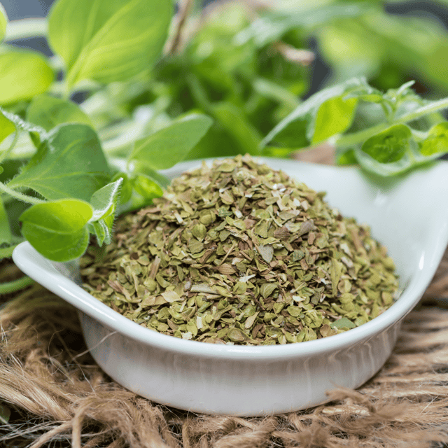 Organic Oregano Seeds (Pack Of - 50 Seeds)