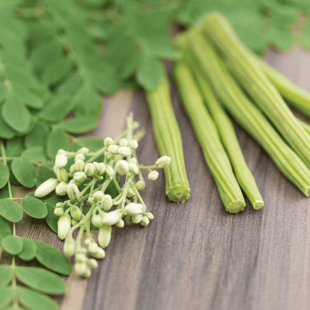 Moringa / Drumstick / Sahjan Seeds (Pack Of 10 Seeds)
