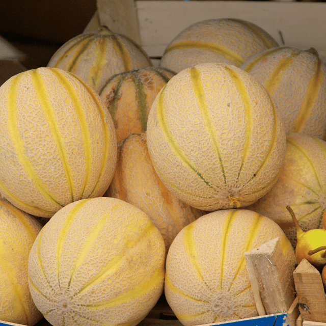 Organic (Desi) Muskmelon / KharboojSeeds(Pack Of - 50 Seeds)