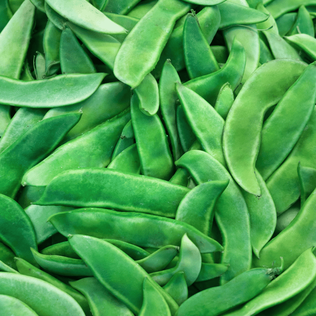 Organic (Desi) Sem Phali/Lima Beans Seeds(Pack Of -15 Seeds)
