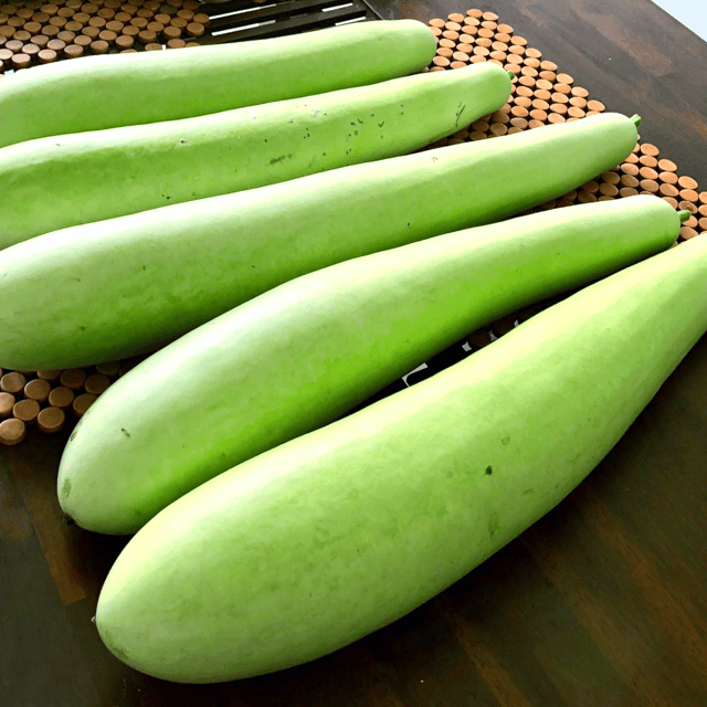 Organic (Desi) Louki/Bottle Gourd(Long) Seeds(Pack Of - 15 Seeds)