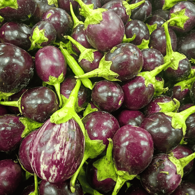Organic (F3 Hybrid) Brinjal(Round) Seeds(Pack Of - 50 Seeds)