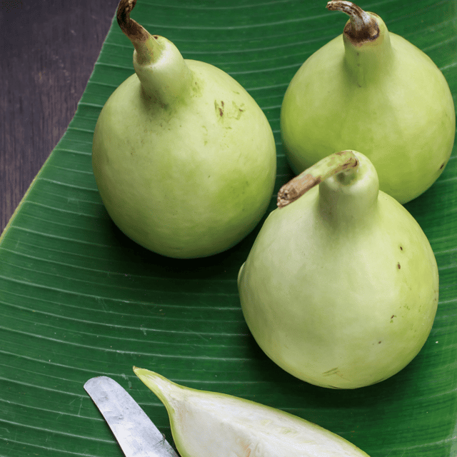 Organic (F3 Hybrid) Louki/Bottle Gourd(Round) Seeds(Pack Of - 15 Seeds)