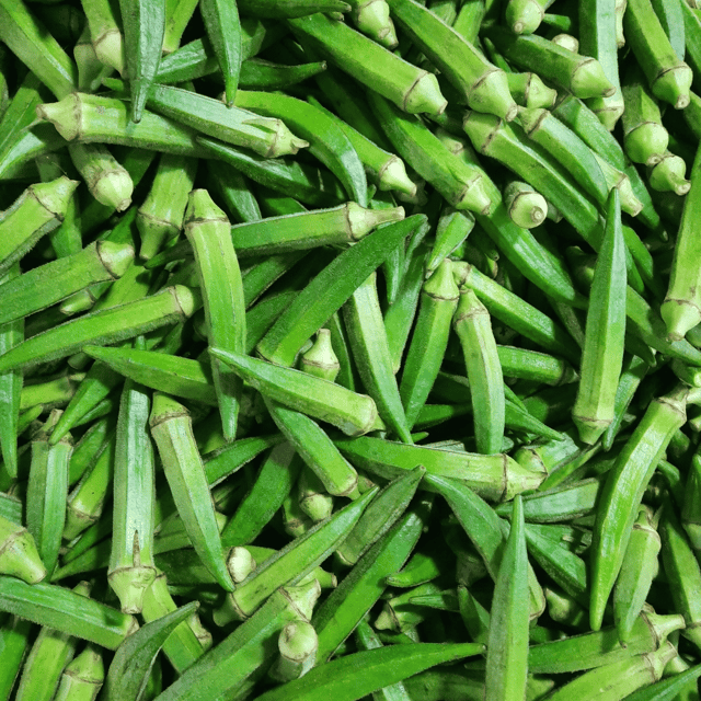 Organic (F3 Hybrid) Bhindi / Lady Finger Seeds(Pack Of - 40 Seeds)