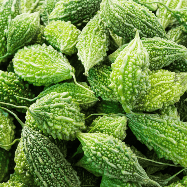 Organic (F3 Hybrid) Karela/Momordica charantia Seeds (Pack Of 15 Seeds)