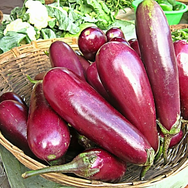 Organic (F3 Hybrid) Brinjal(Long) Seeds(Pack Of - 50 Seeds)