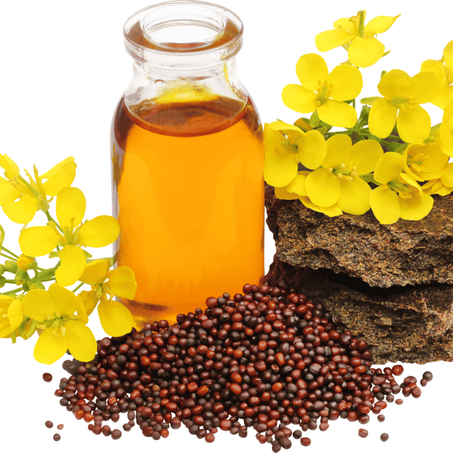 Organic (F3 Hybrid) Mustard/Sarso Seeds(Pack Of - 200 Seeds)