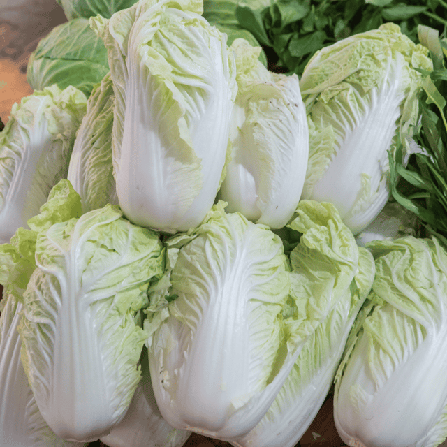 Organic (F2 Hybrid) Chinese Cabbage Seeds(Pack Of - 40 Seeds)