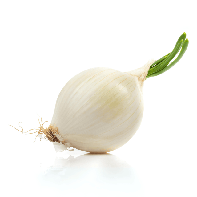 Organic (F2 Hybrid) White Onion Seeds(Pack Of - 50 Seeds)