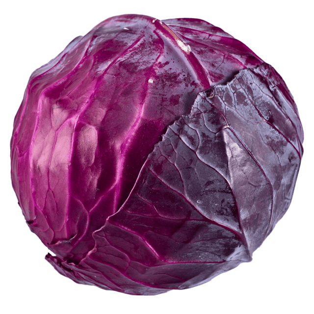 Organic (F2 Hybrid) Purple Cabbage Seeds (Pack Of 40 Seeds)