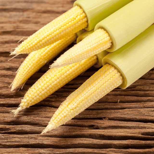 Organic (F2 Hybrid) Baby Corn Seeds (Pack Of  20 Seeds)