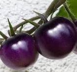 Organic (F2 Hybrid) Tomato Black Purple Seeds(Pack Of -12 Seeds)