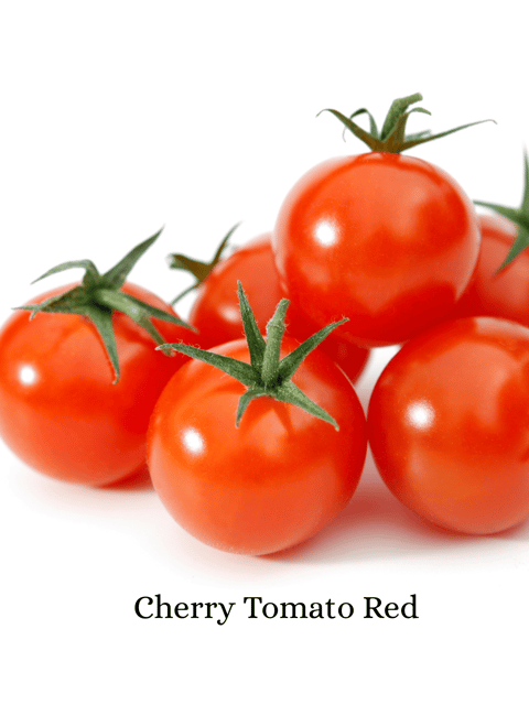 5 Types of Tomato Seeds Combo – Desi, Cherry Red, Cherry Yellow, Pear Yellow & Black/Purple Tomatoes
