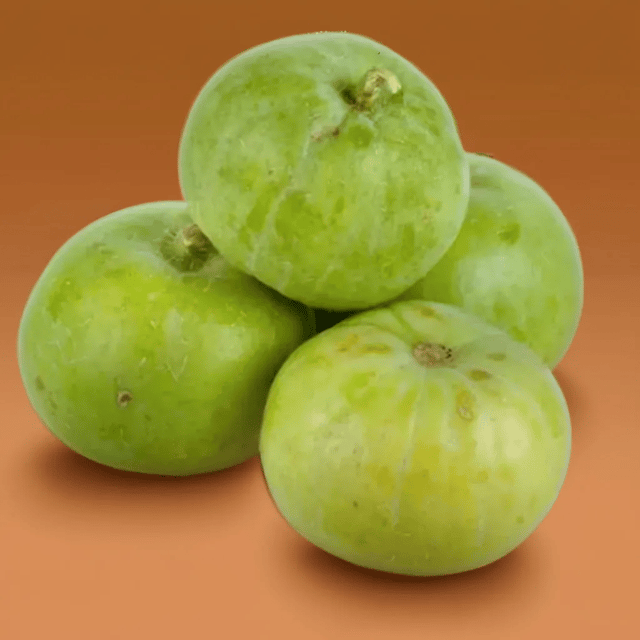 F3 Hybrid Indian Squash (Tinda) Seeds (Pack Of 30 Seeds) - Apple Gourd