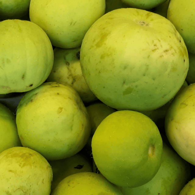 F3 Hybrid Indian Squash (Tinda) Seeds (Pack Of 30 Seeds) - Apple Gourd