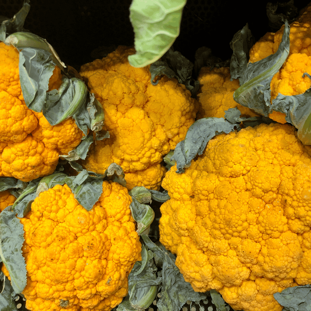 Yellow Cauliflower Seeds  - F1 Hybrid (Pack of 10 Seeds)