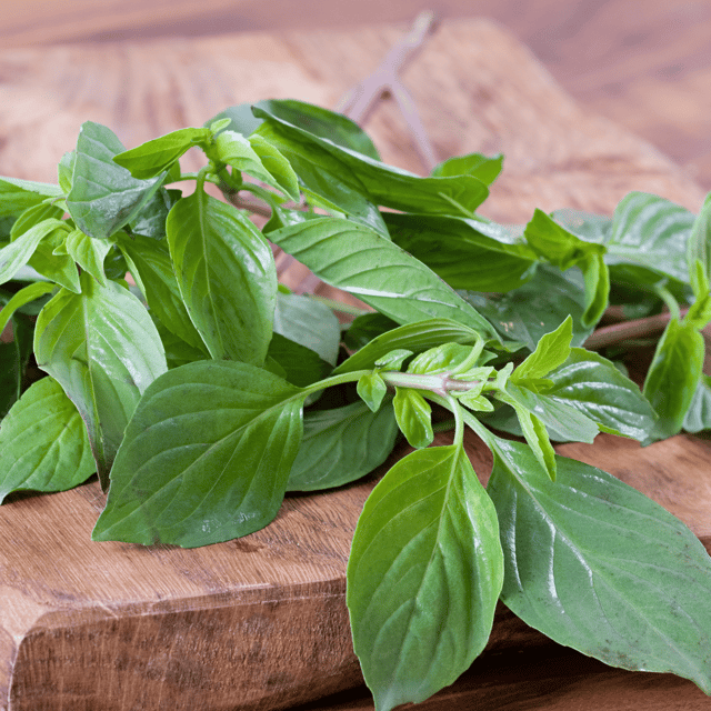 Basil / Tulsi Thai Herb Seeds (Pack Of - 60-70 Seeds )