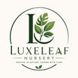 Luxeleaf Nursery 